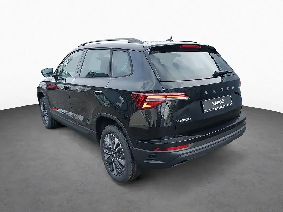 Skoda Karoq - Thumbnail 6