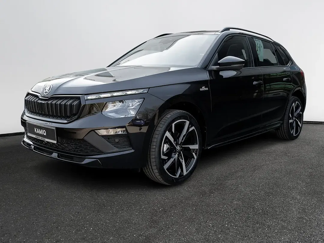 Skoda Kamiq - Thumbnail 1