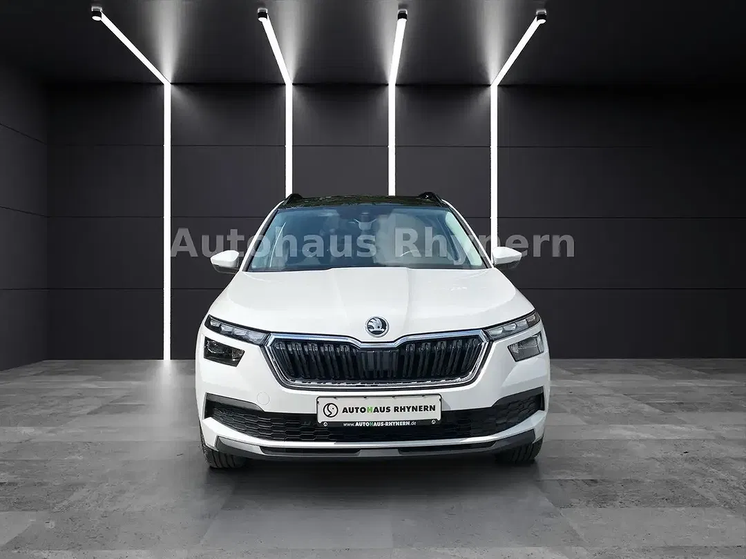 Skoda Kamiq - Thumbnail 8