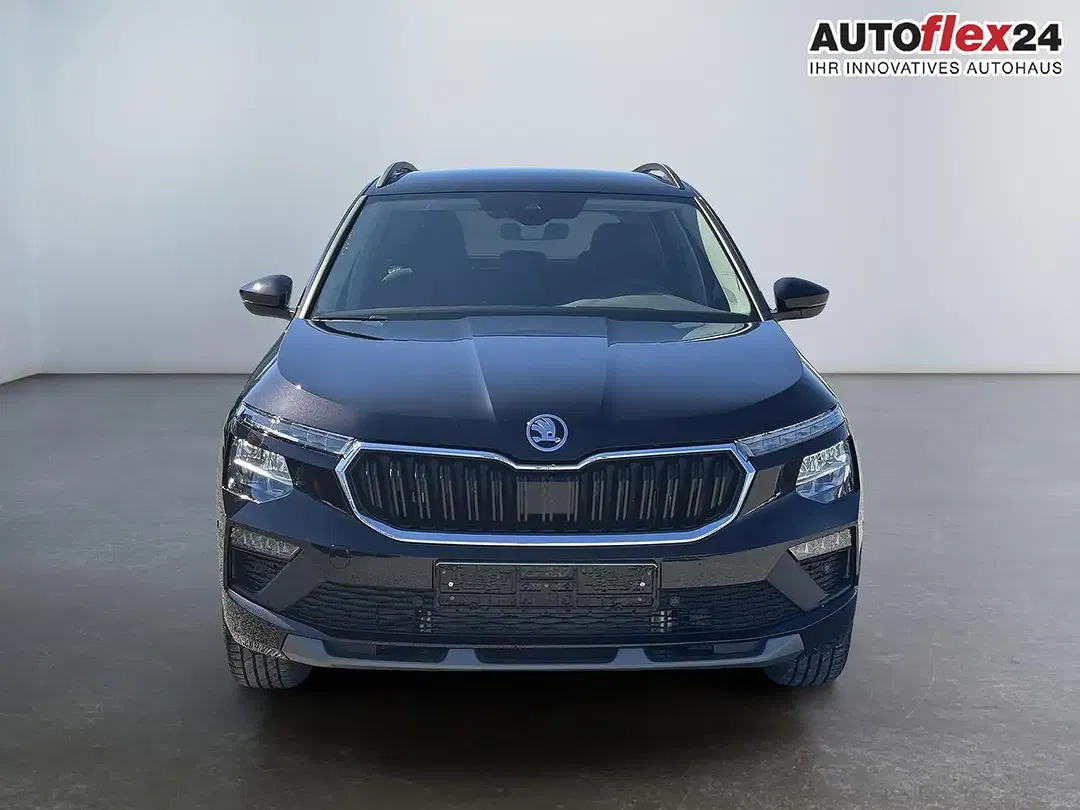 Skoda Kamiq - Thumbnail 3