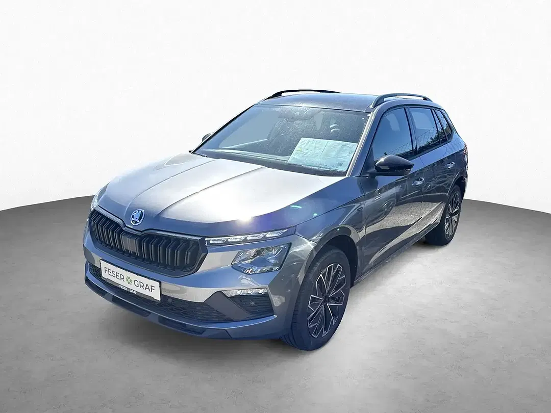 Skoda Kamiq - Thumbnail 13