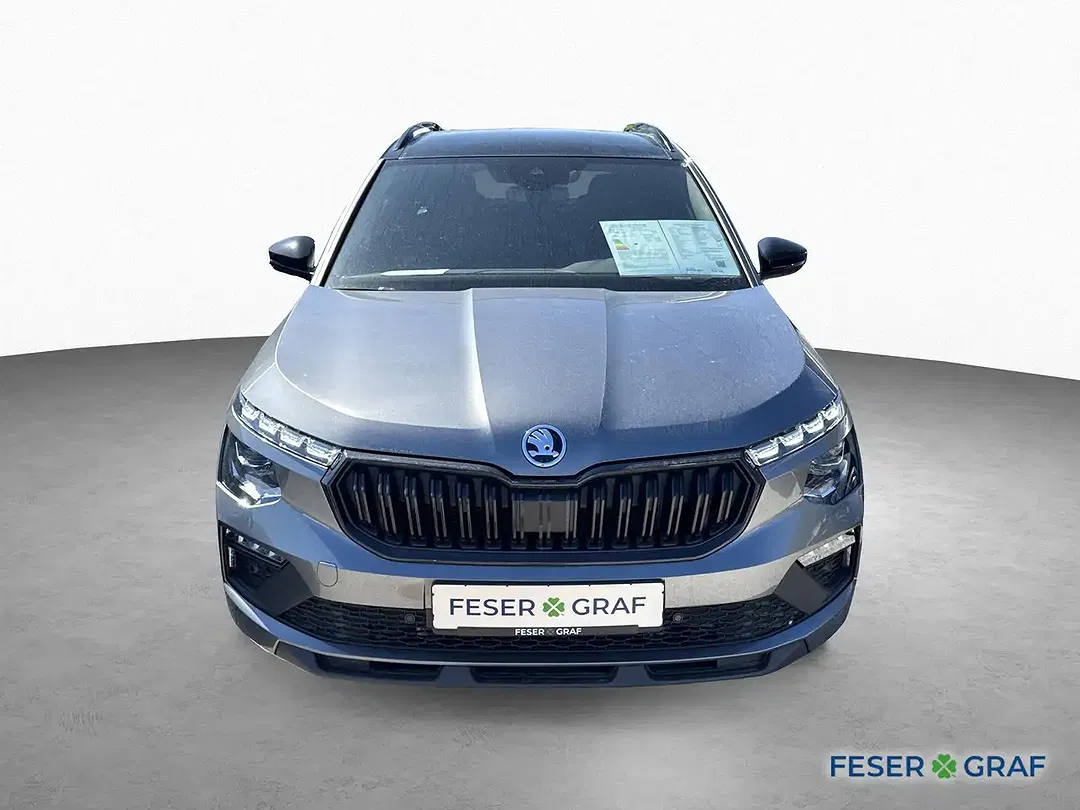 Skoda Kamiq - Thumbnail 2