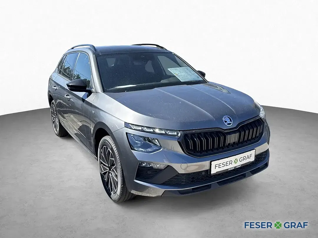 Skoda Kamiq - Thumbnail 1