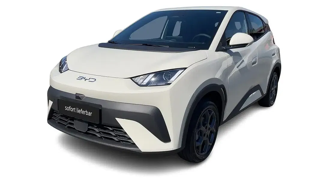 BYD Dolphin Surf - Thumbnail 30