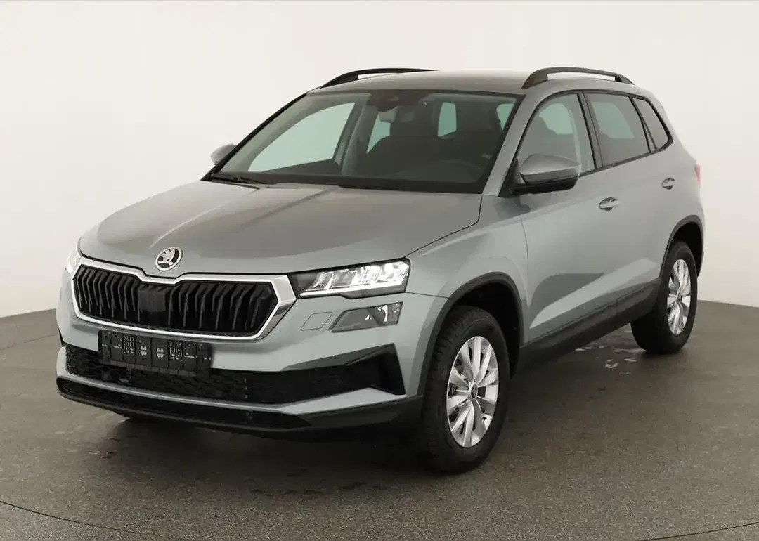 Skoda Karoq - Thumbnail 1
