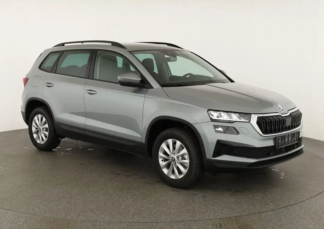 Skoda Karoq - Thumbnail 2