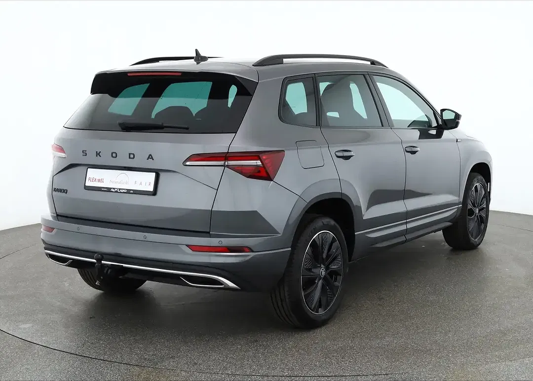 Skoda Karoq - Thumbnail 4