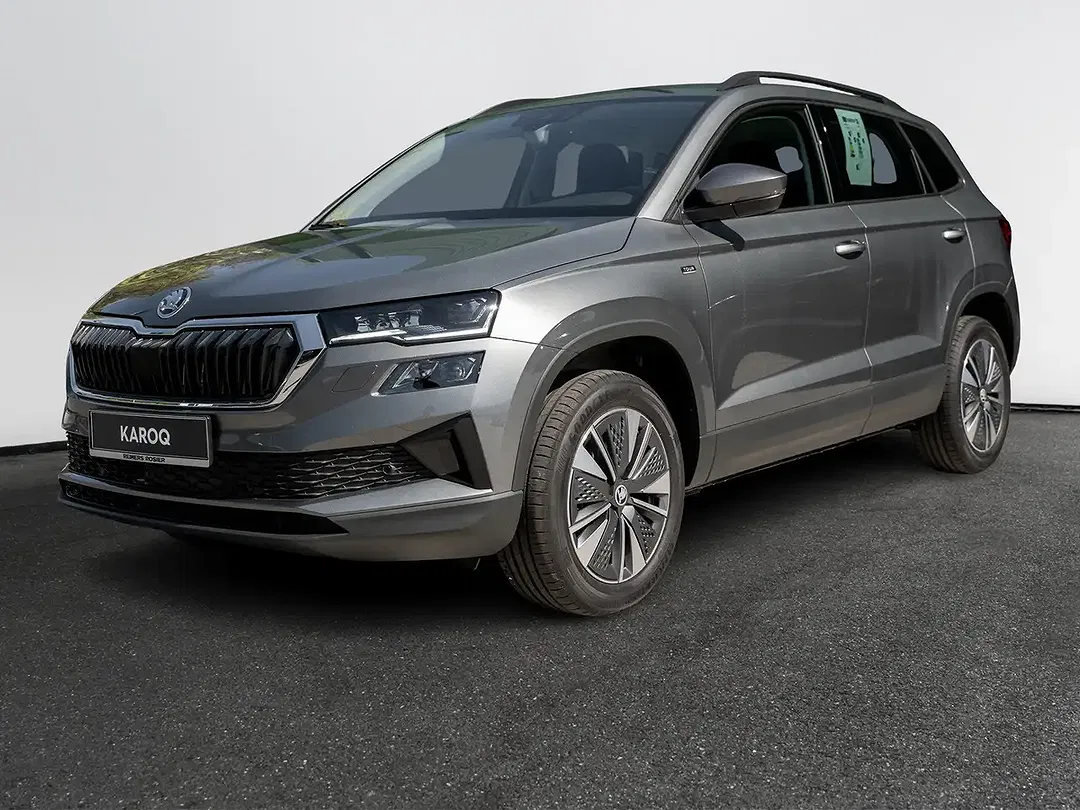 Skoda Karoq - Thumbnail 1
