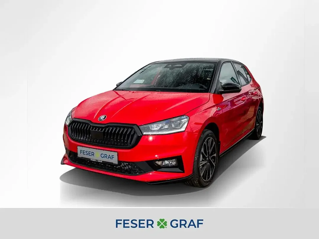 Skoda Fabia - Afbeelding 1