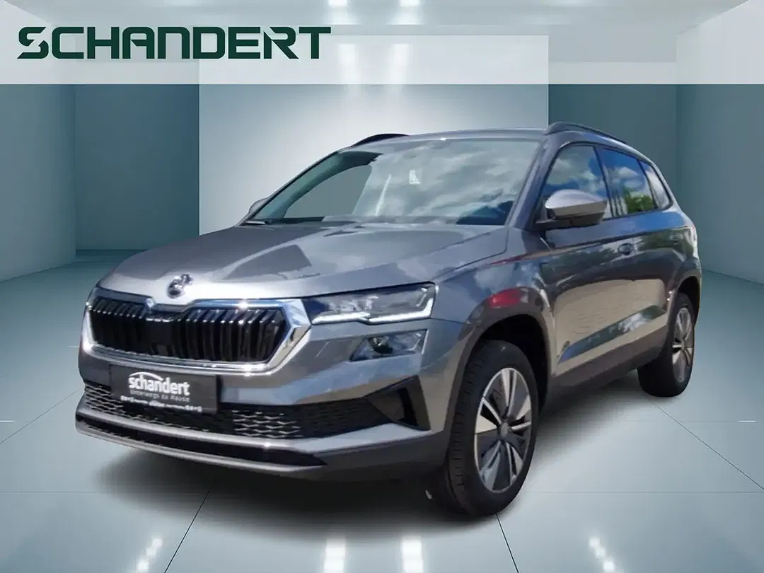 Skoda Karoq - Thumbnail 1
