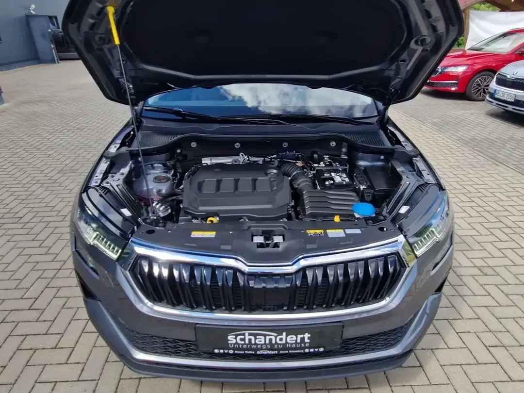 Skoda Karoq - Thumbnail 15