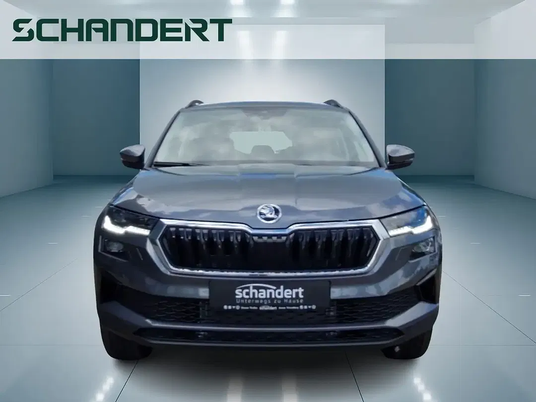 Skoda Karoq - Thumbnail 5