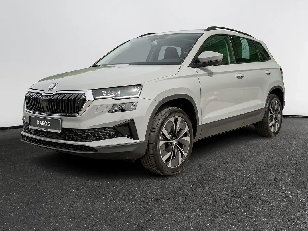 Skoda Karoq - Thumbnail 1