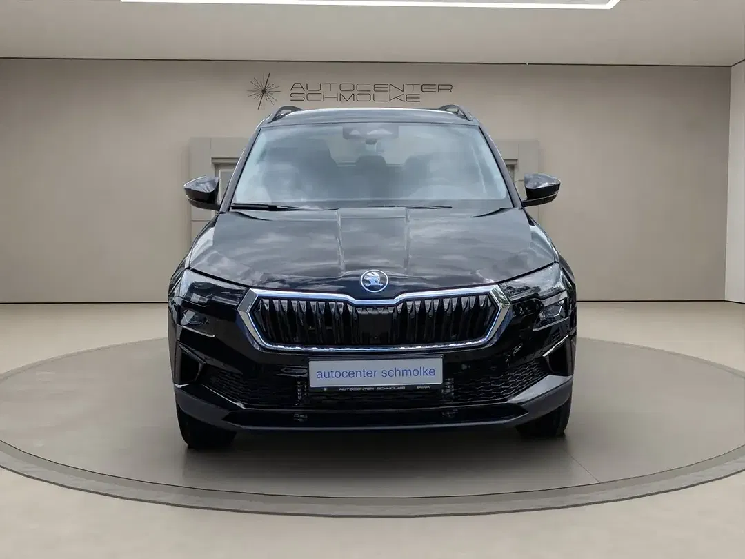 Skoda Karoq - Thumbnail 1