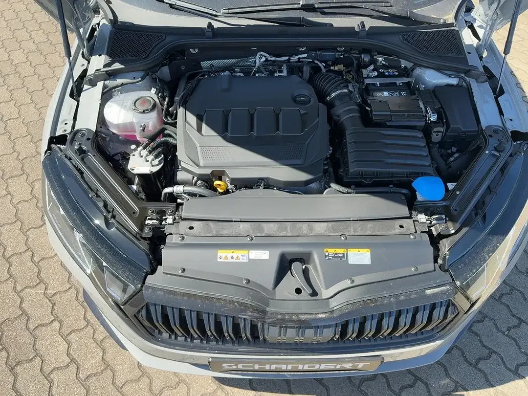Skoda Octavia - Thumbnail 15