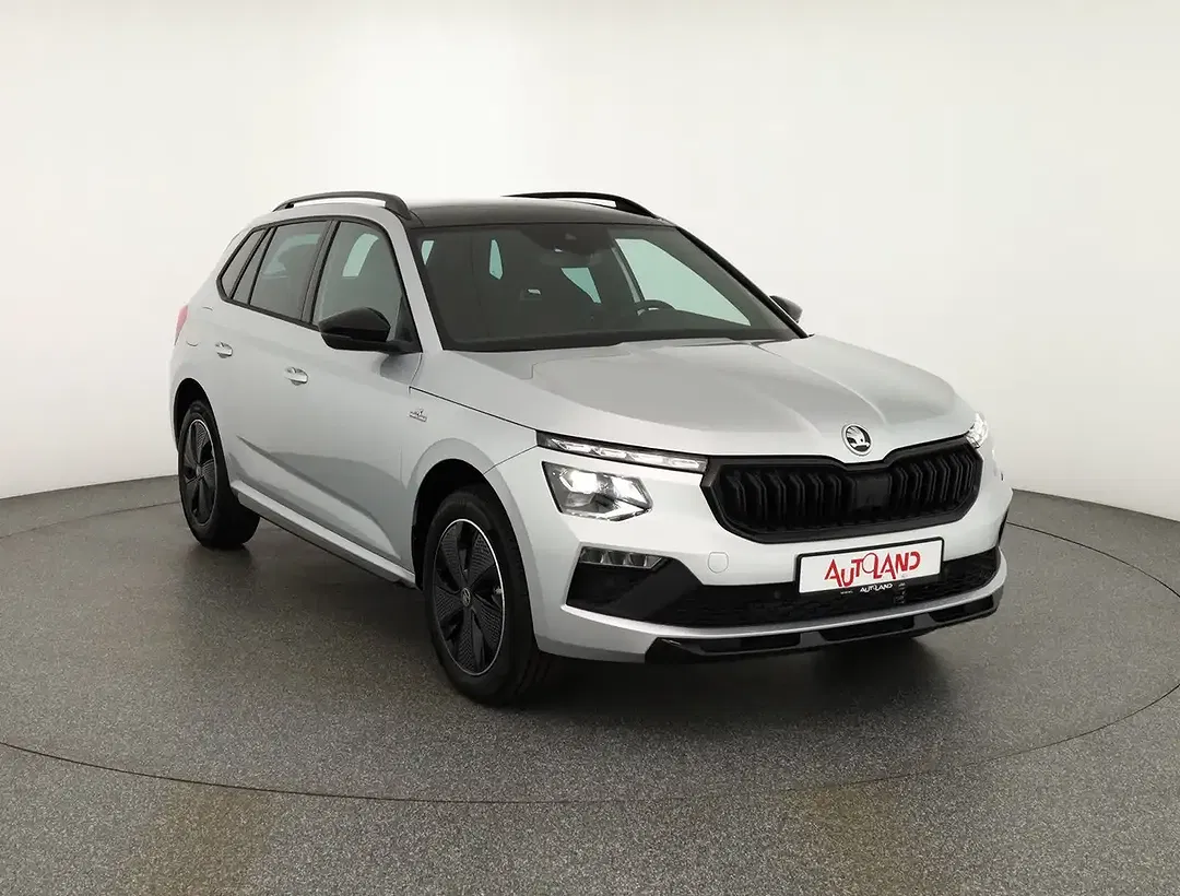 Skoda Kamiq - Thumbnail 6