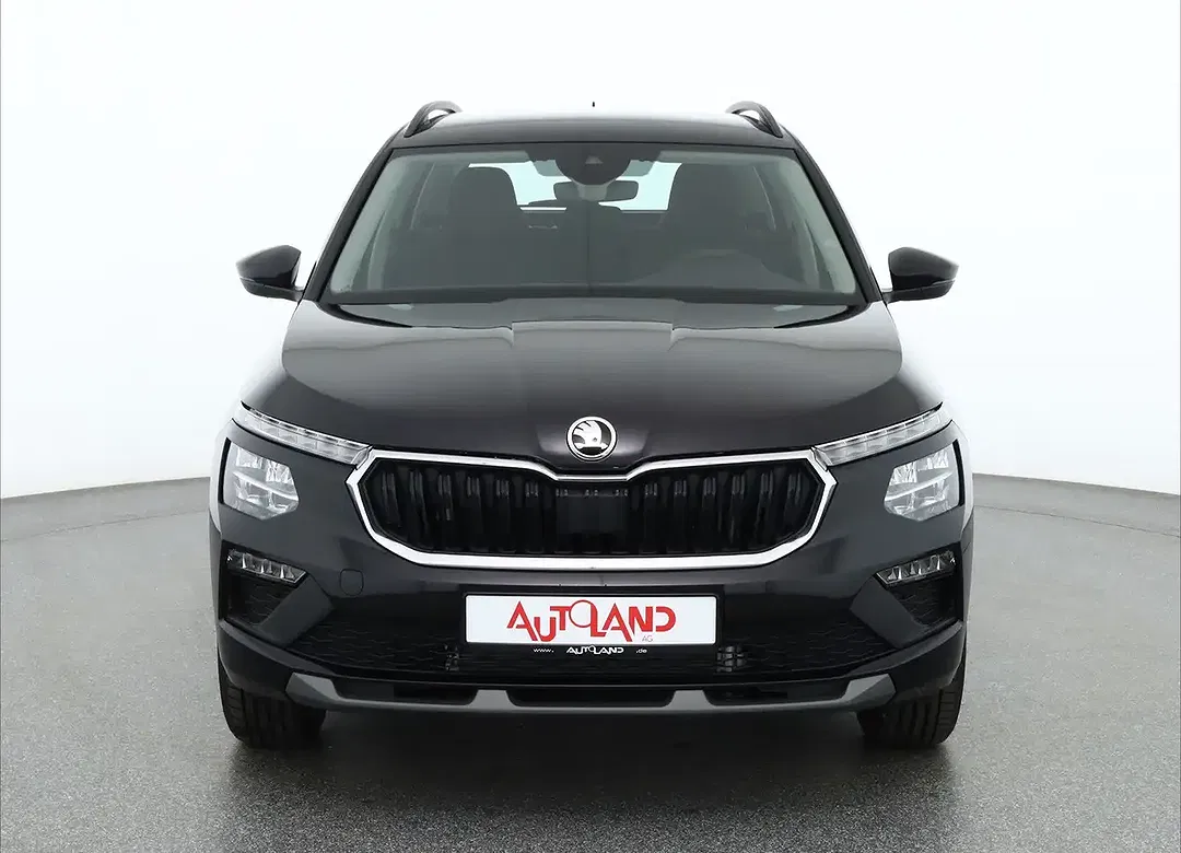 Skoda Kamiq - Thumbnail 7