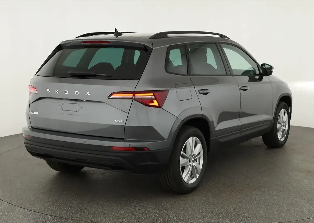Skoda Karoq - Thumbnail 2
