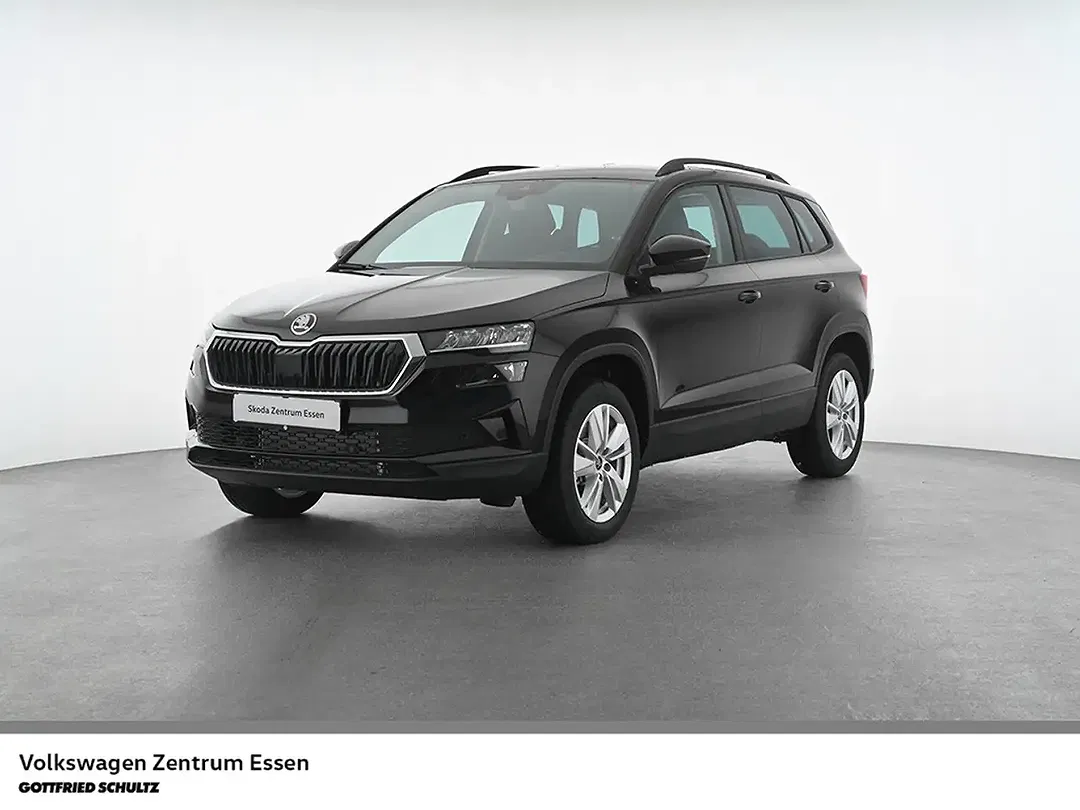 Skoda Karoq - Thumbnail 1