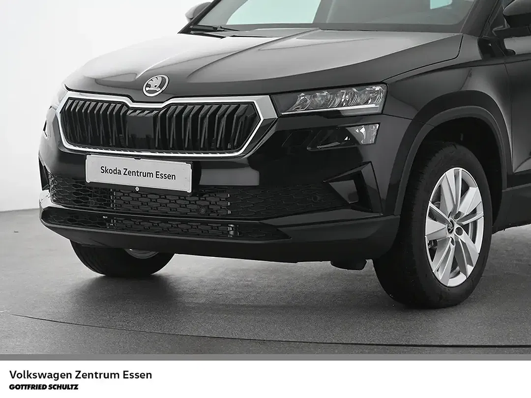 Skoda Karoq - Thumbnail 7