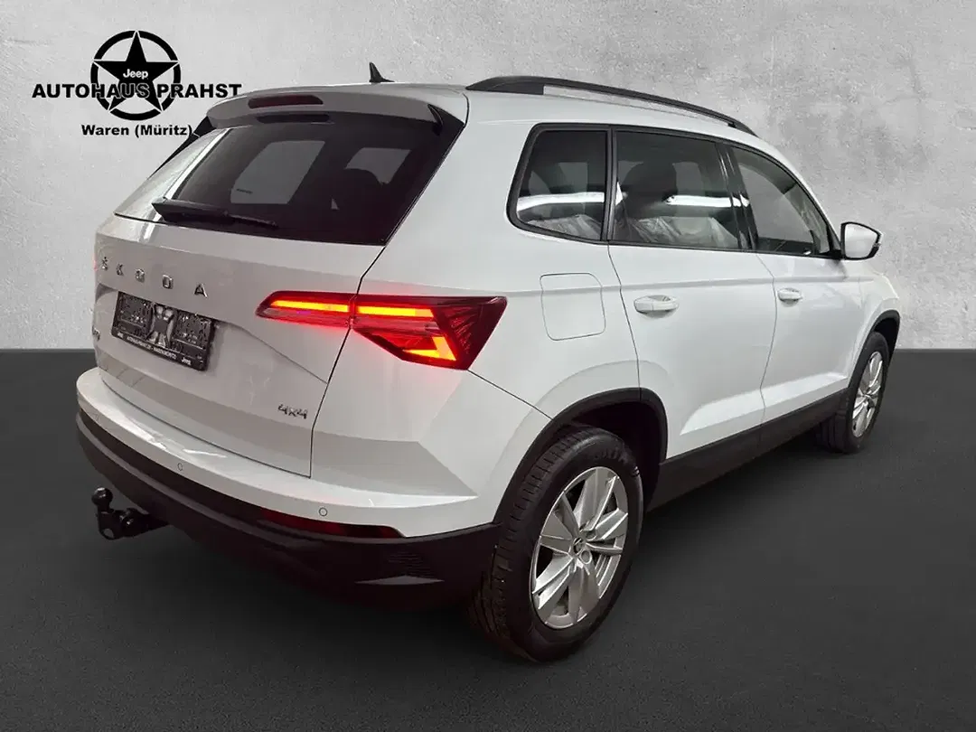 Skoda Karoq - Thumbnail 2