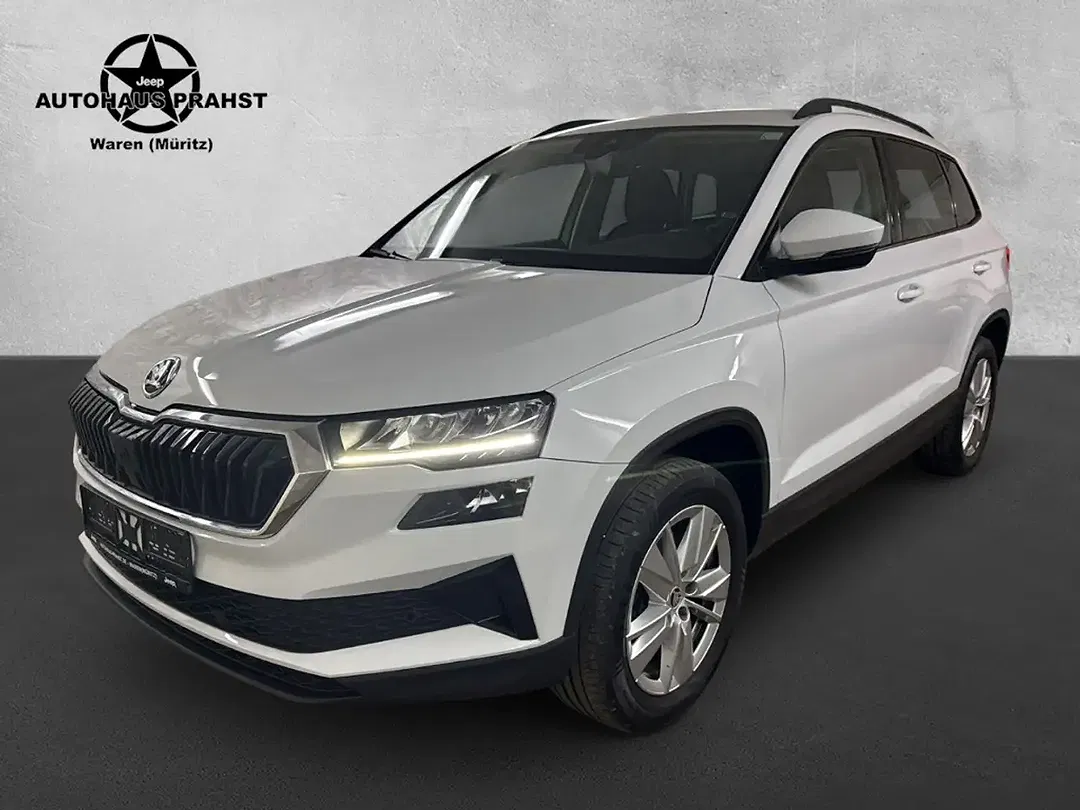 Skoda Karoq - Thumbnail 4