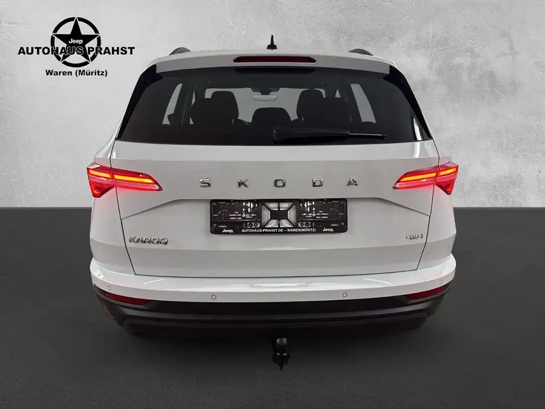 Skoda Karoq - Thumbnail 8