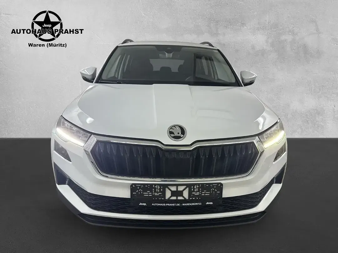 Skoda Karoq - Thumbnail 9