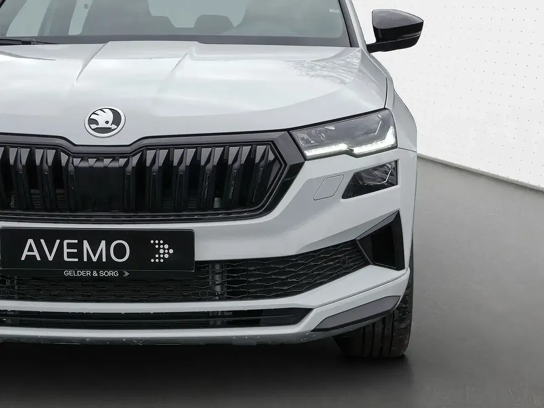 Skoda Karoq - Thumbnail 11