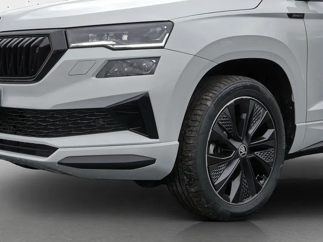 Skoda Karoq - Thumbnail 12
