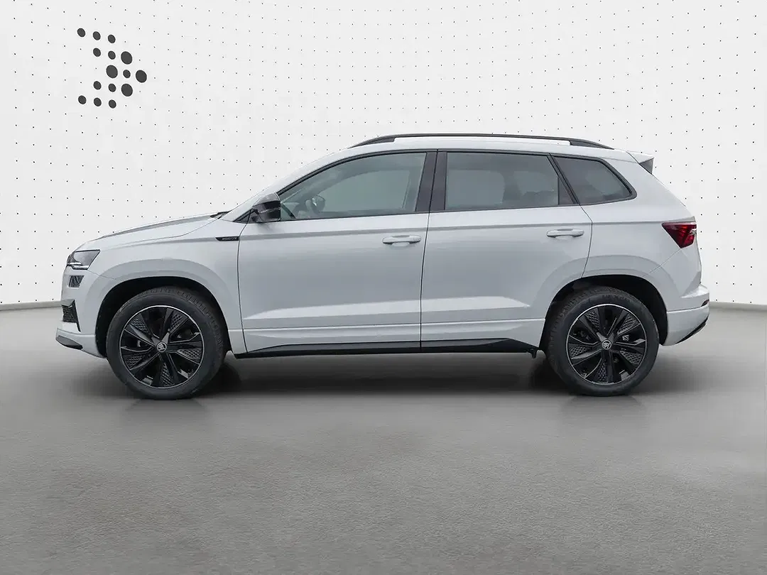 Skoda Karoq - Thumbnail 2