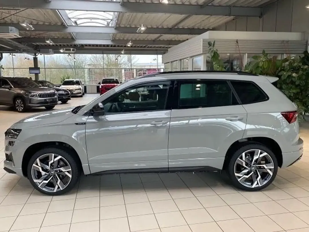 Skoda Karoq - Thumbnail 10