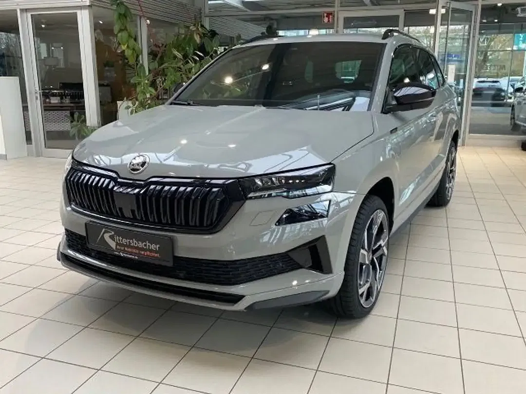 Skoda Karoq - Thumbnail 2
