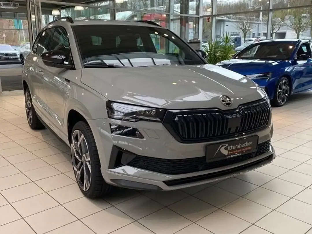 Skoda Karoq - Thumbnail 4
