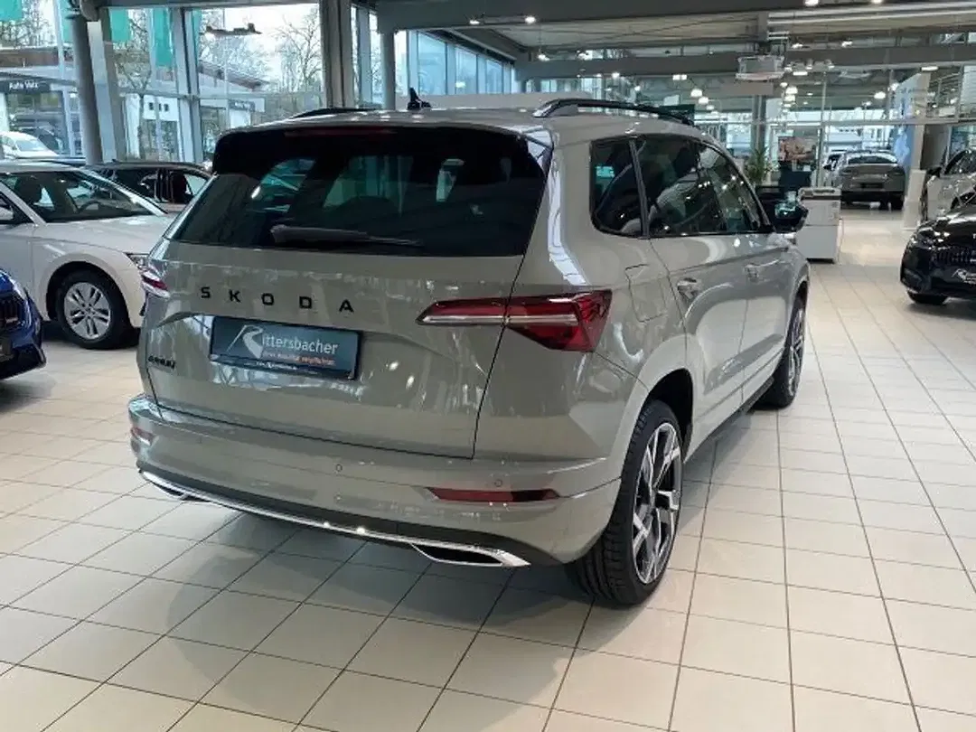 Skoda Karoq - Thumbnail 6