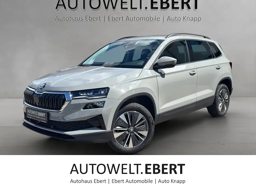 Skoda Karoq - Thumbnail 1