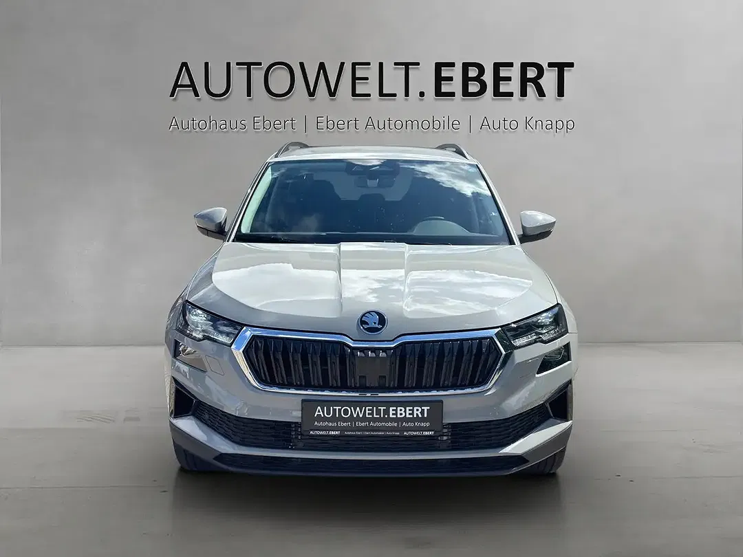 Skoda Karoq - Thumbnail 2