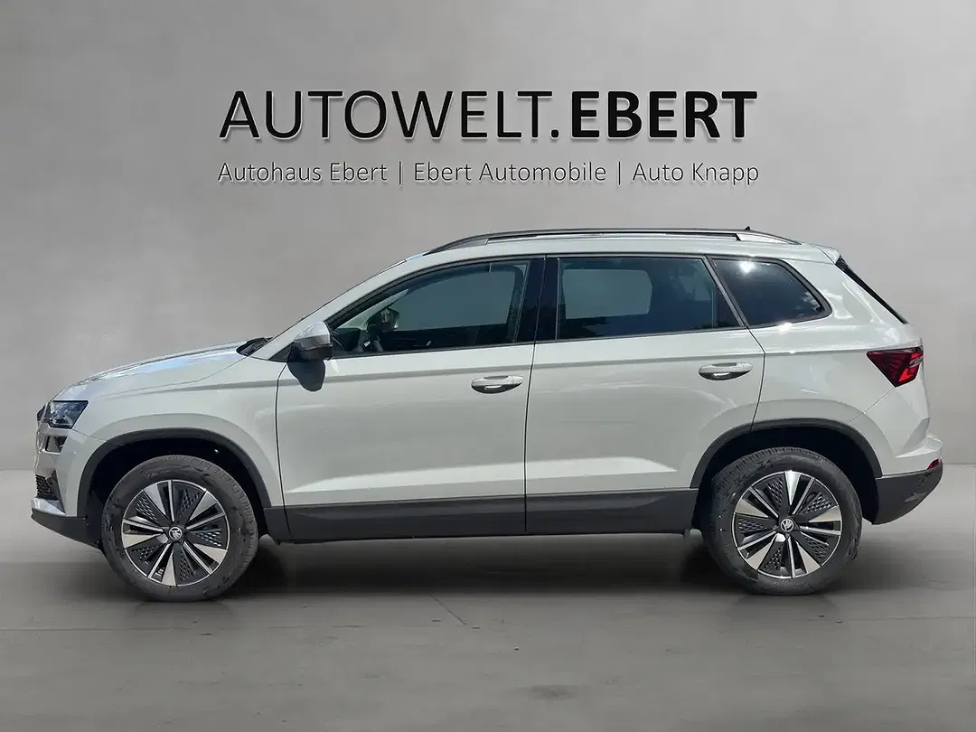 Skoda Karoq - Thumbnail 3