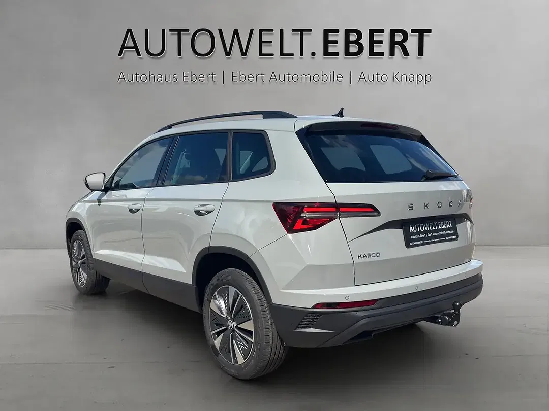 Skoda Karoq - Thumbnail 4
