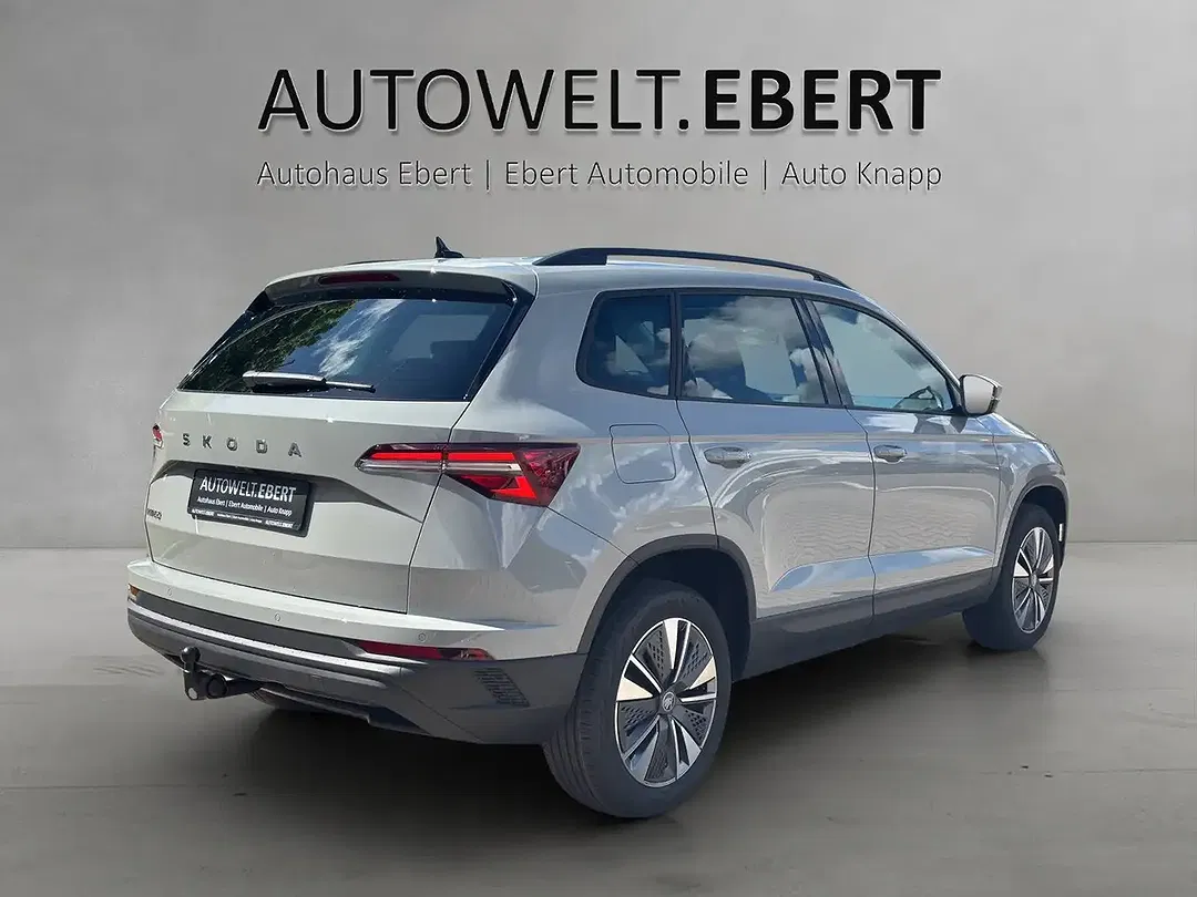 Skoda Karoq - Thumbnail 6