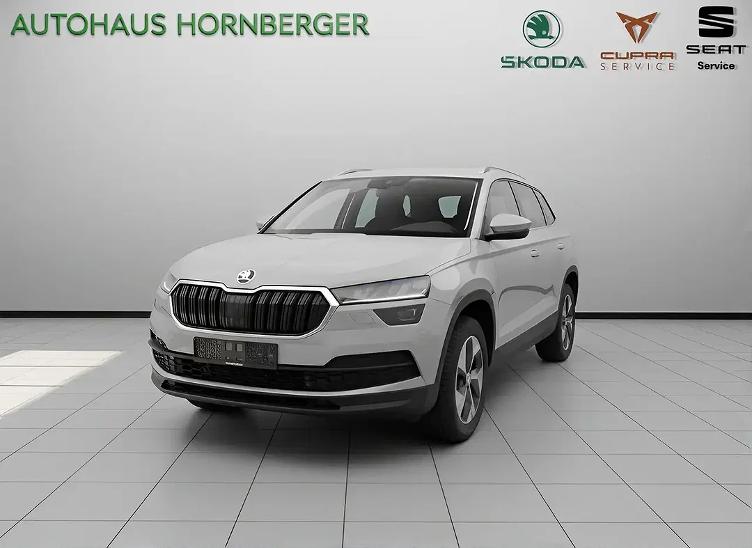 Skoda Kodiaq - Afbeelding 1