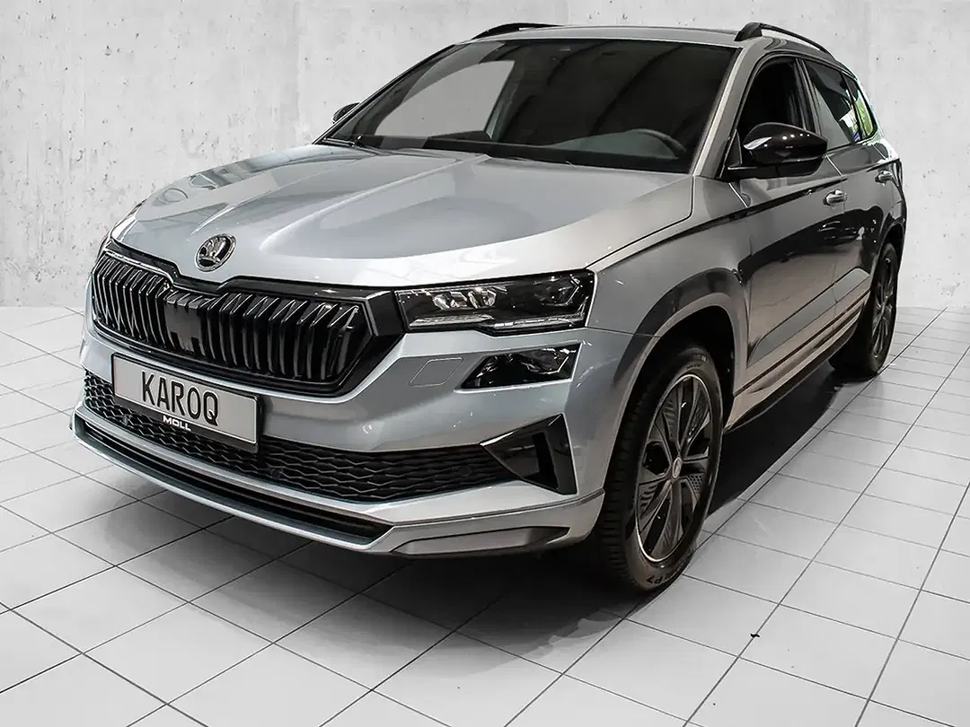 Skoda Karoq - Thumbnail 2