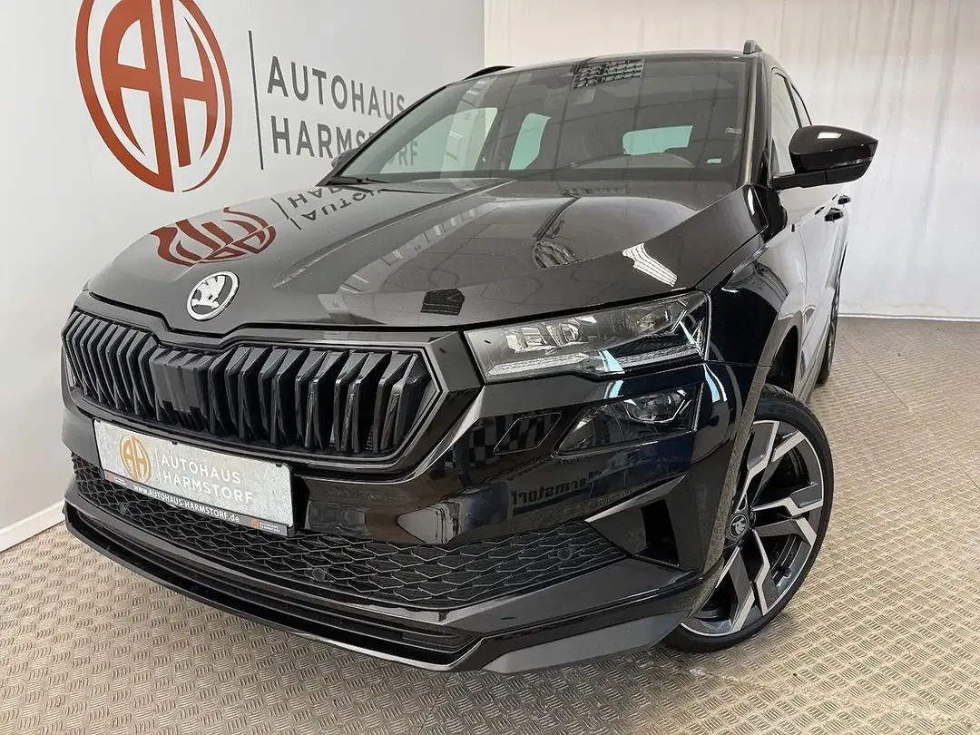 Skoda Karoq - Thumbnail 1