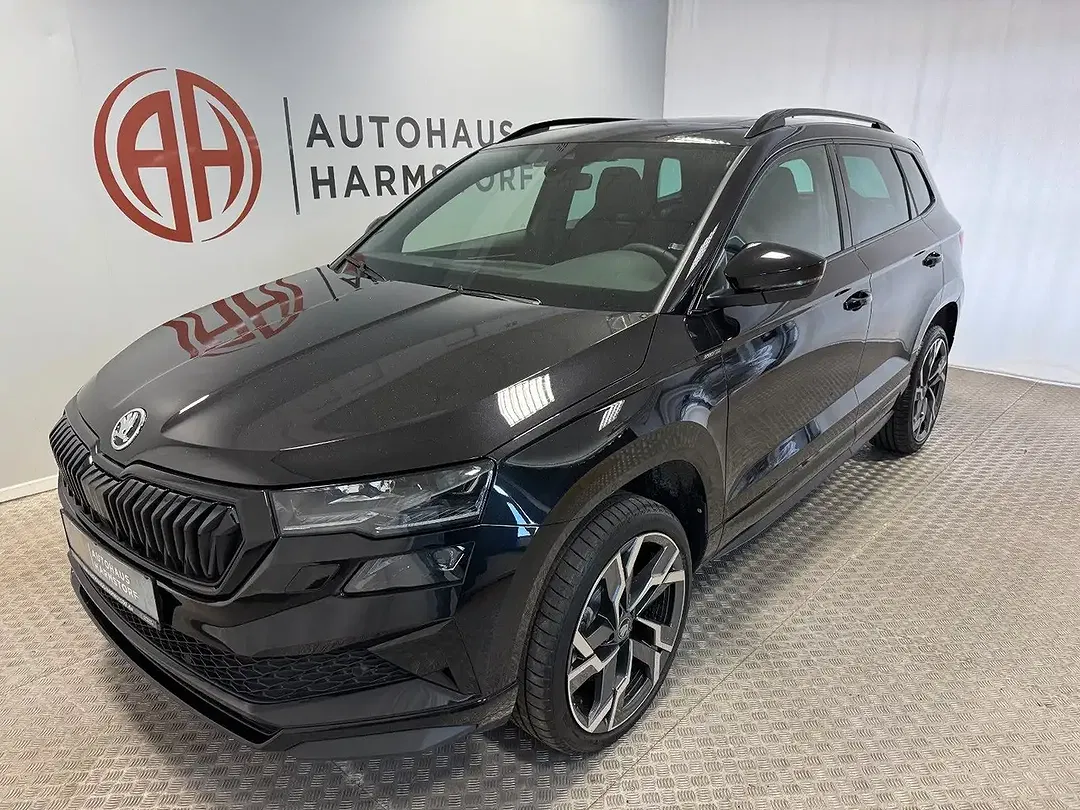 Skoda Karoq - Thumbnail 2