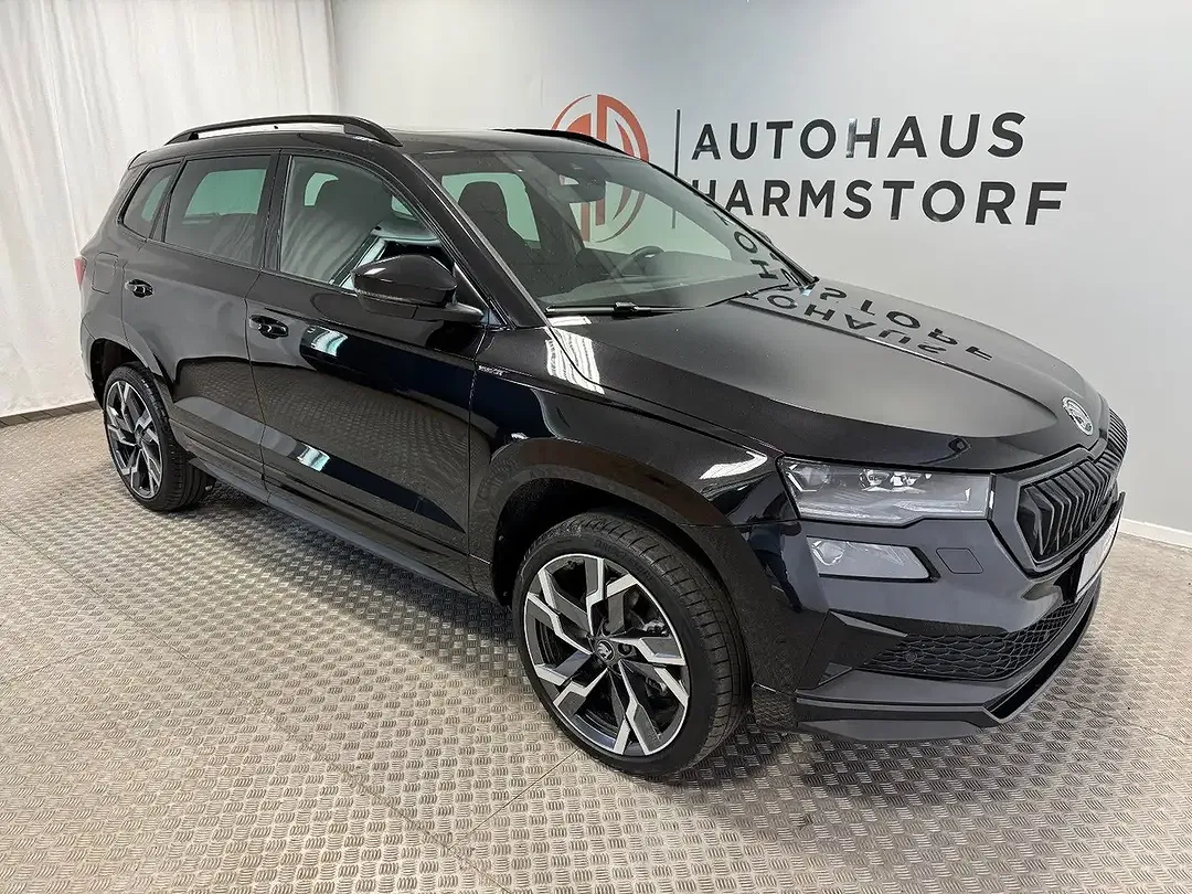Skoda Karoq - Thumbnail 8
