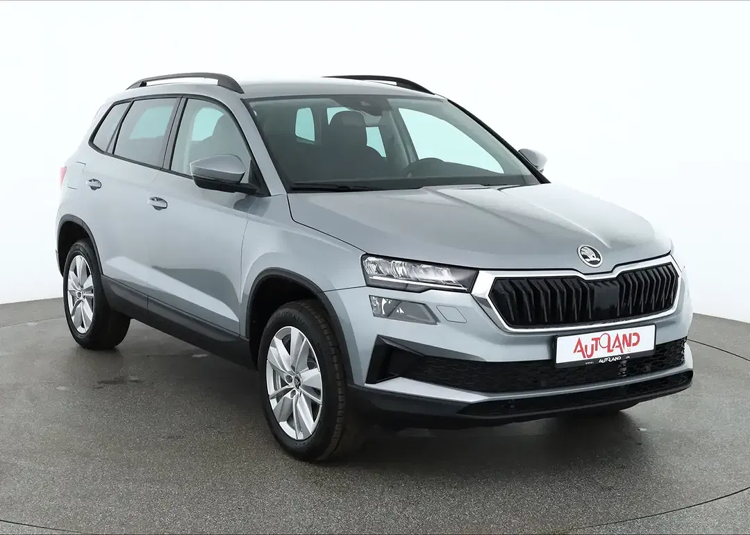 Skoda Karoq - Thumbnail 6
