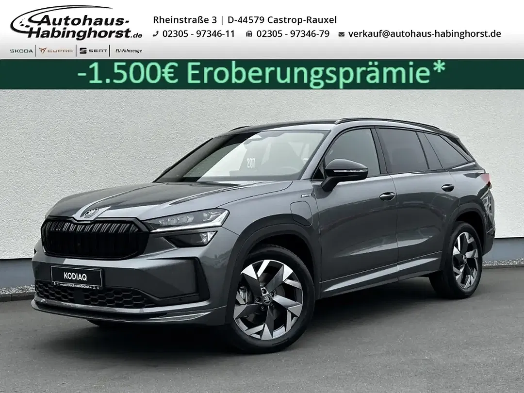 Skoda Kodiaq - Thumbnail 1