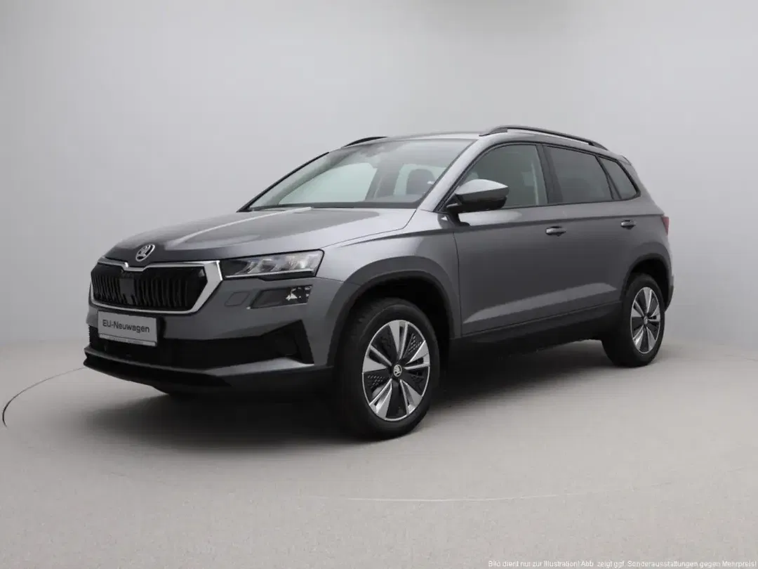 Skoda Karoq - Thumbnail 4