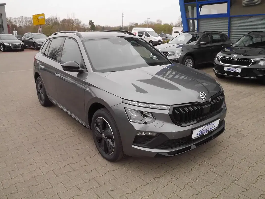 Skoda Kamiq - Thumbnail 1