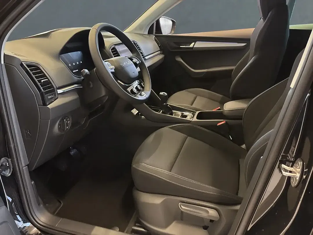 Skoda Karoq - Thumbnail 7